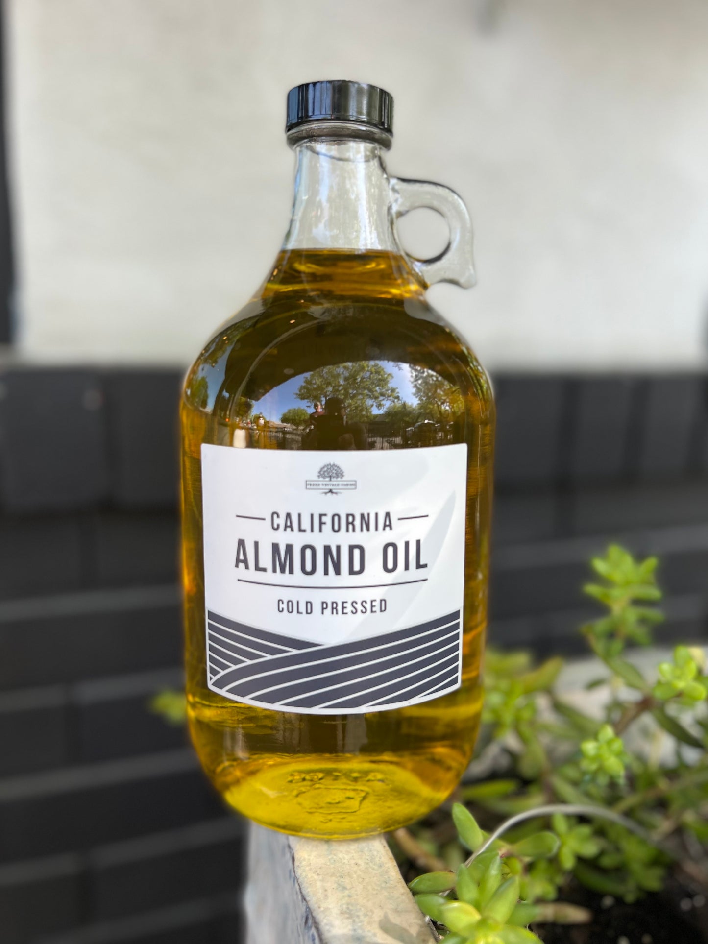 Pure Cold Pressed Almond Oil - 1/2 Gallon Jug